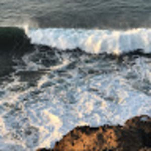 Meet your Posher, Juana